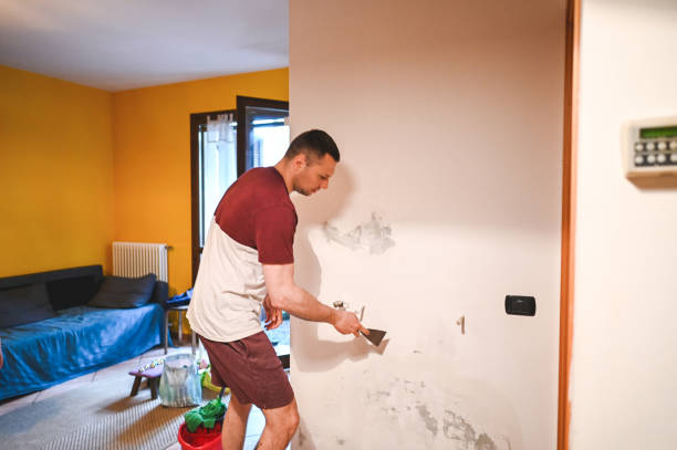 Best Mold Removal Process  in Telford, TN